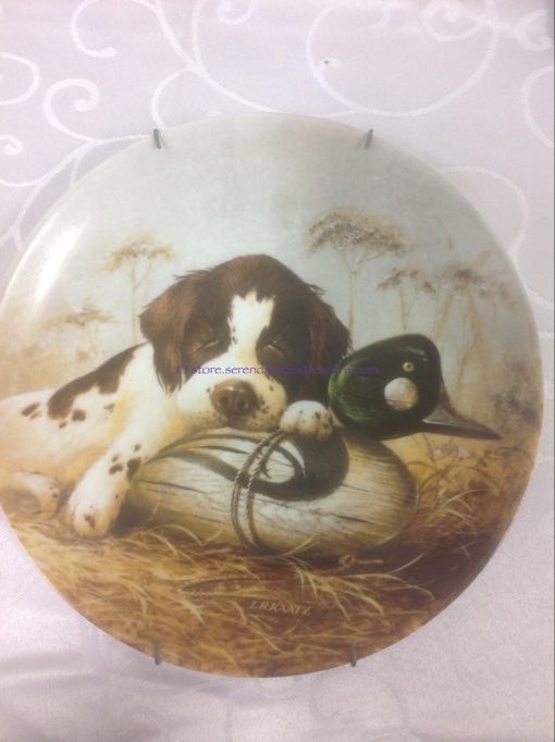 Dog Tired-The Springer Spaniel by Lynn Kaatz