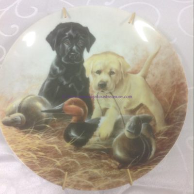 A Perfect Set-Labrador Retrievers by Lynn Kaatz