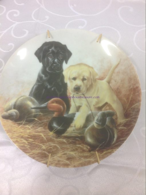 A Perfect Set-Labrador Retrievers by Lynn Kaatz